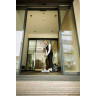 Моющий пылесос KARCHER PUZZI 9/1 BP PACK ADV 1,101-703