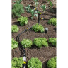 Редуктор давления с фильтром KARCHER 2,645-226