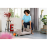 Ручной аккумуляторный пылесос KARCHER CVH ANNIVERSARY EDITION 1,198-355